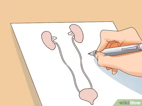 Image titled Study for the MCAT Step 6