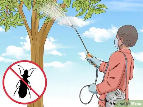 Image titled Grow Cinnamon Step 15