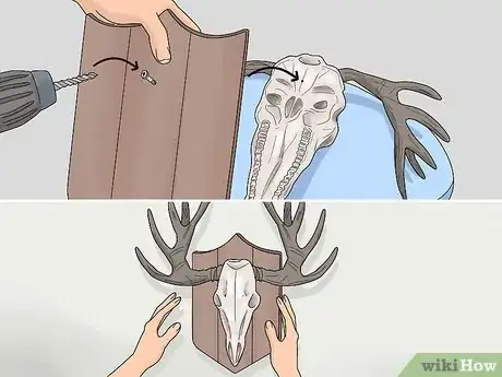 Image titled Do a European Mount Step 19