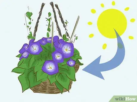 Image titled Choose Outdoor Hanging Plants Step 8