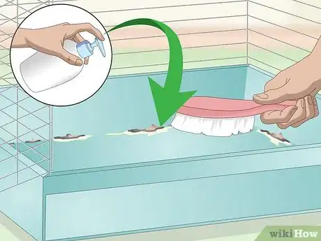 Image titled Clean and Maintain a Canary Habitat Step 9