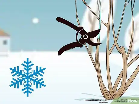 Image titled Prune Vines Step 8