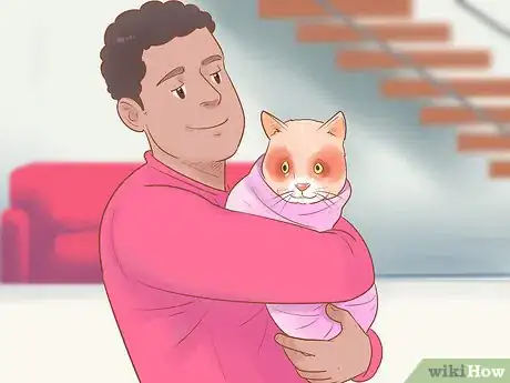 Image titled Give Selamectin to Cats with Parasites Step 6