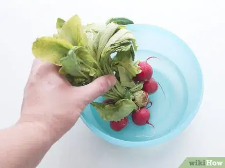 Image titled Store Radishes Step 2