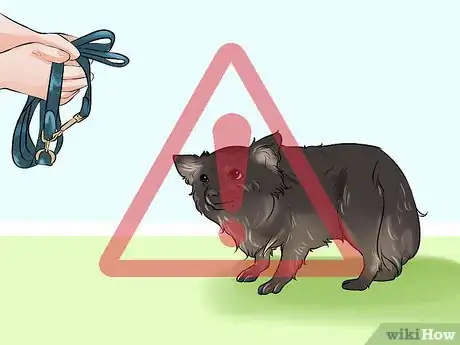 Image titled Care for a Recently Rehomed Dog Step 16