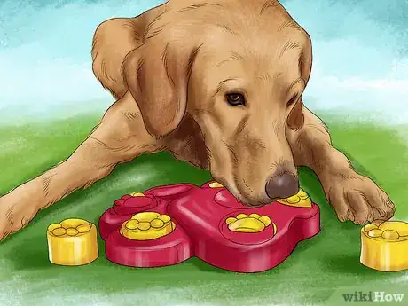 Image titled Care for a Small Dog Step 13