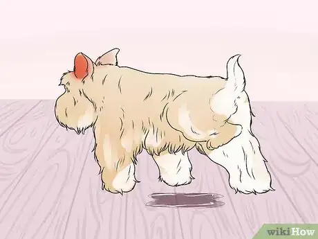 Image titled Tell if a Dog Is in Pain Step 12