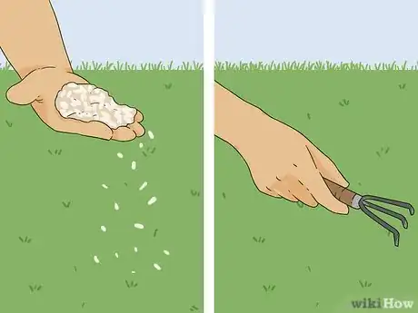 Image titled Bring Back Dead Grass Step 8