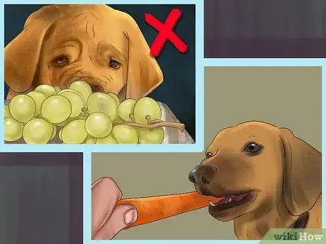Image titled Feed Your Senior Dog a Healthy Diet Step 8
