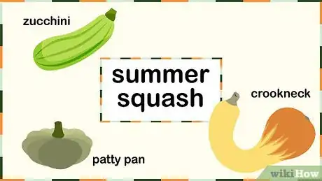 Image titled Grow Squash Step 5