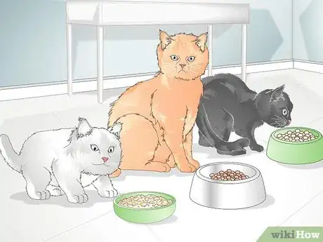 Image titled Buy Healthy Cat Food Step 4