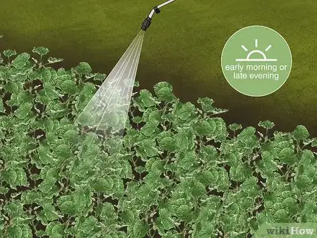 Image titled Reduce Bee Poisoning from Pesticides Step 15