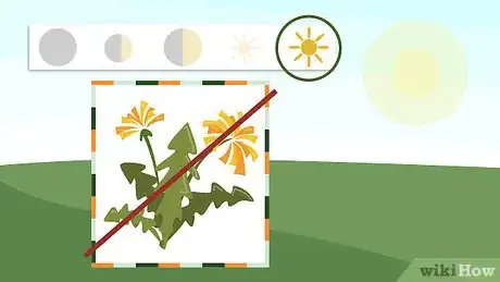 Image titled Grow Squash Step 1