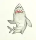 Draw a Shark