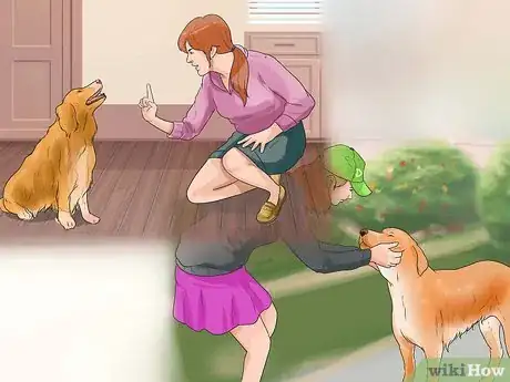 Image titled Work With Dominant Dogs Step 11