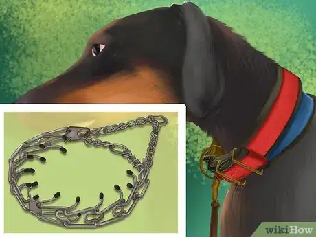 Image titled Buy Dog Training Collars Step 6