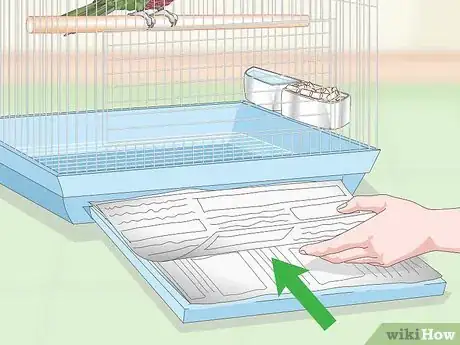 Image titled House a Hawk‐Headed Parrot Step 6