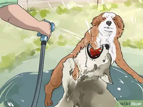 Image titled Deal with Aggressive Dogs when They Fight Step 4