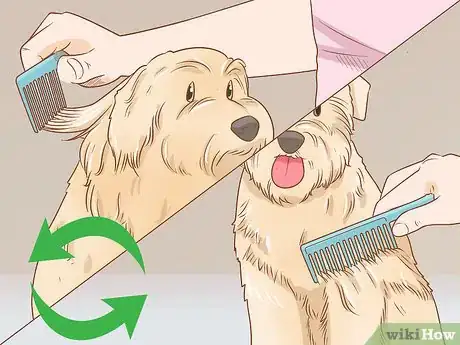 Image titled Groom a Wheaten Terrier Step 10