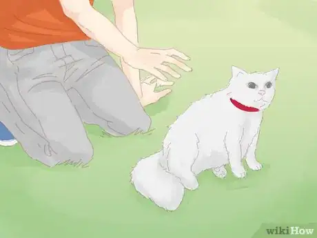 Image titled Keep a Cat from Running Away when It Is Moved Step 12