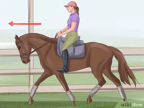 Image titled Tame a Horse or Pony Step 10