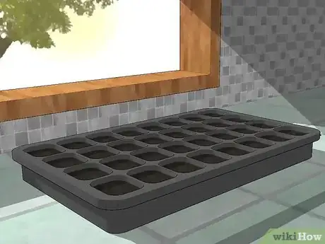 Image titled Grow Chamomile Step 5