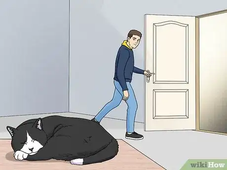 Image titled Fix Clinginess in Cats Step 3