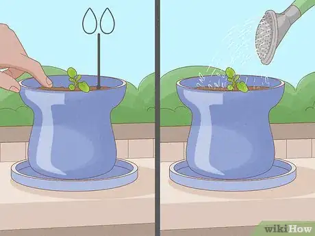 Image titled Grow an Herb Garden Step 23