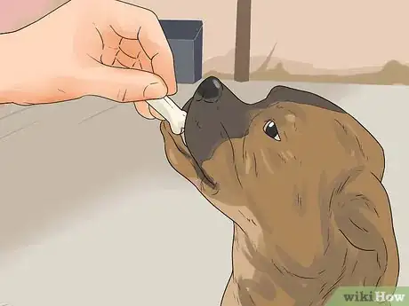 Image titled Introduce a New Puppy Step 20