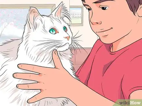 Image titled Raise Angora Cats Step 14