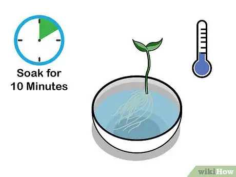 Image titled Grow Hydroponic Strawberries Step 14