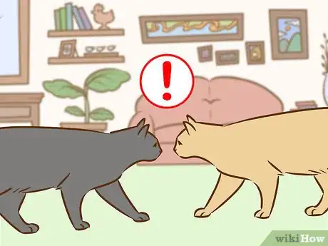 Image titled Referee Two Irritable Cats That Don't Get Along Step 2