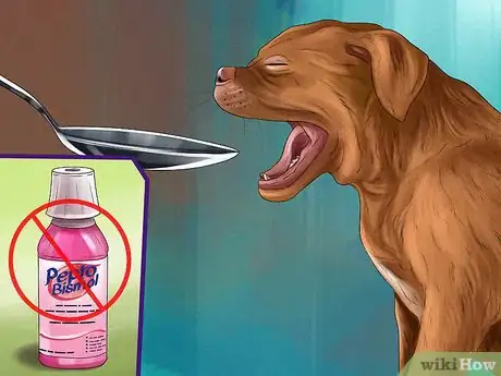 Image titled Treat Diarrhea and Constipation in Dogs and Cats Step 5