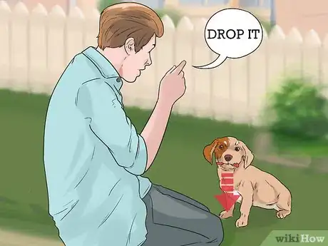 Image titled Get Your Dog to Stop Growling at You when Eating Step 6