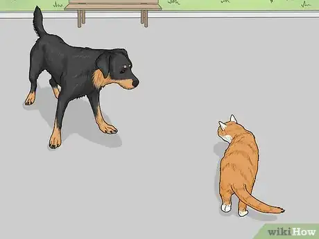 Image titled Identify a Smaland Hound Step 13