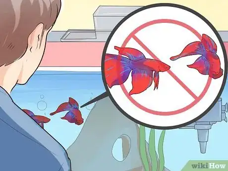 Image titled Make Your Fish Live Longer Step 11
