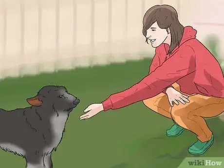 Image titled Tell if a Dog Is in Pain Step 11