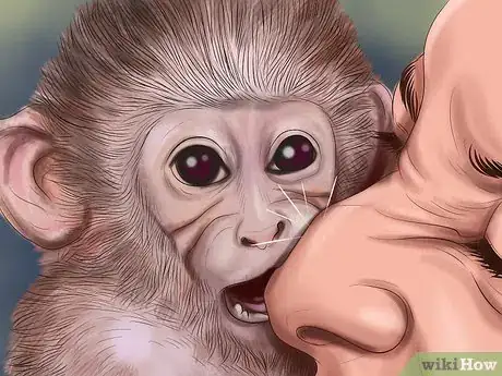 Image titled Quiet a Capuchin Monkey Step 15