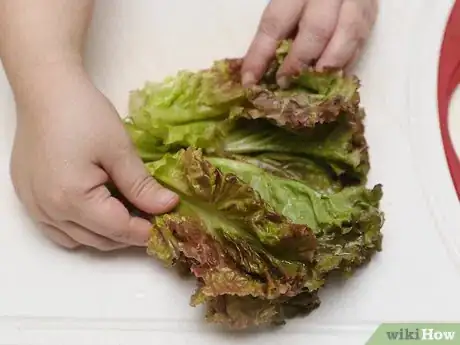 Image titled Braise Lettuce Step 1