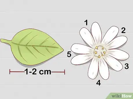 Image titled Harvest Chickweed Step 3