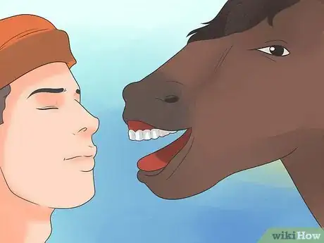 Image titled Take Proper Care of Your Horse's Teeth Step 2