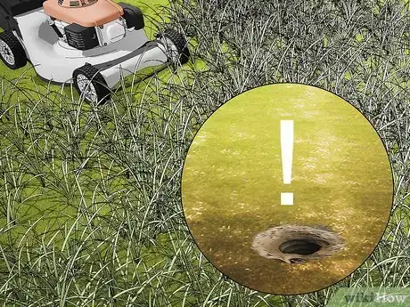 Image titled Get Rid of Yellow Jackets in the Ground Step 10