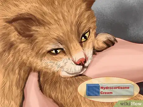 Image titled Treat Seasonal Allergies in Cats Step 7