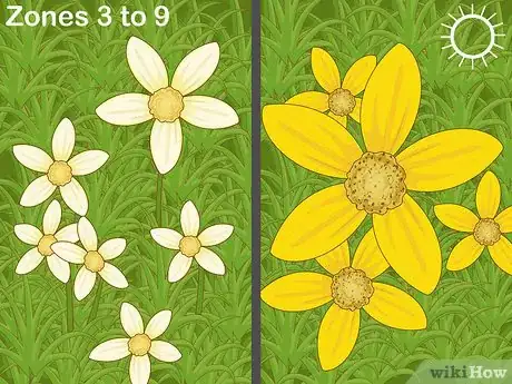 Image titled Pick Low Maintenance Perennials for Your Garden Step 12