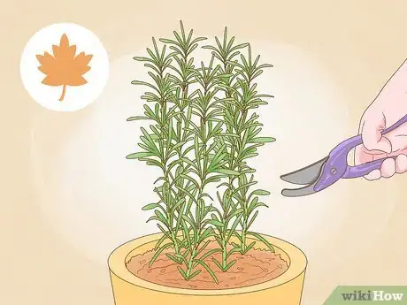 Image titled Grow an Herb Garden Step 15