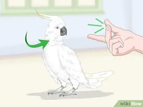 Image titled Choose a Cockatoo Step 8