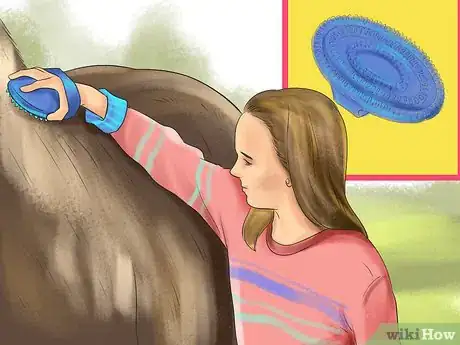 Image titled Ride a Horse For the First Time (Kids) Step 3