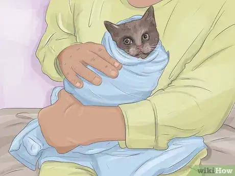 Image titled Capture an Angry or Upset Cat Step 10