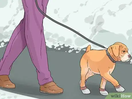 Image titled Help Your Older Dog Navigate Slippery Floors Step 6