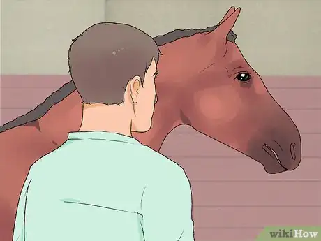 Image titled Succeed at Your First Horse Show Step 2